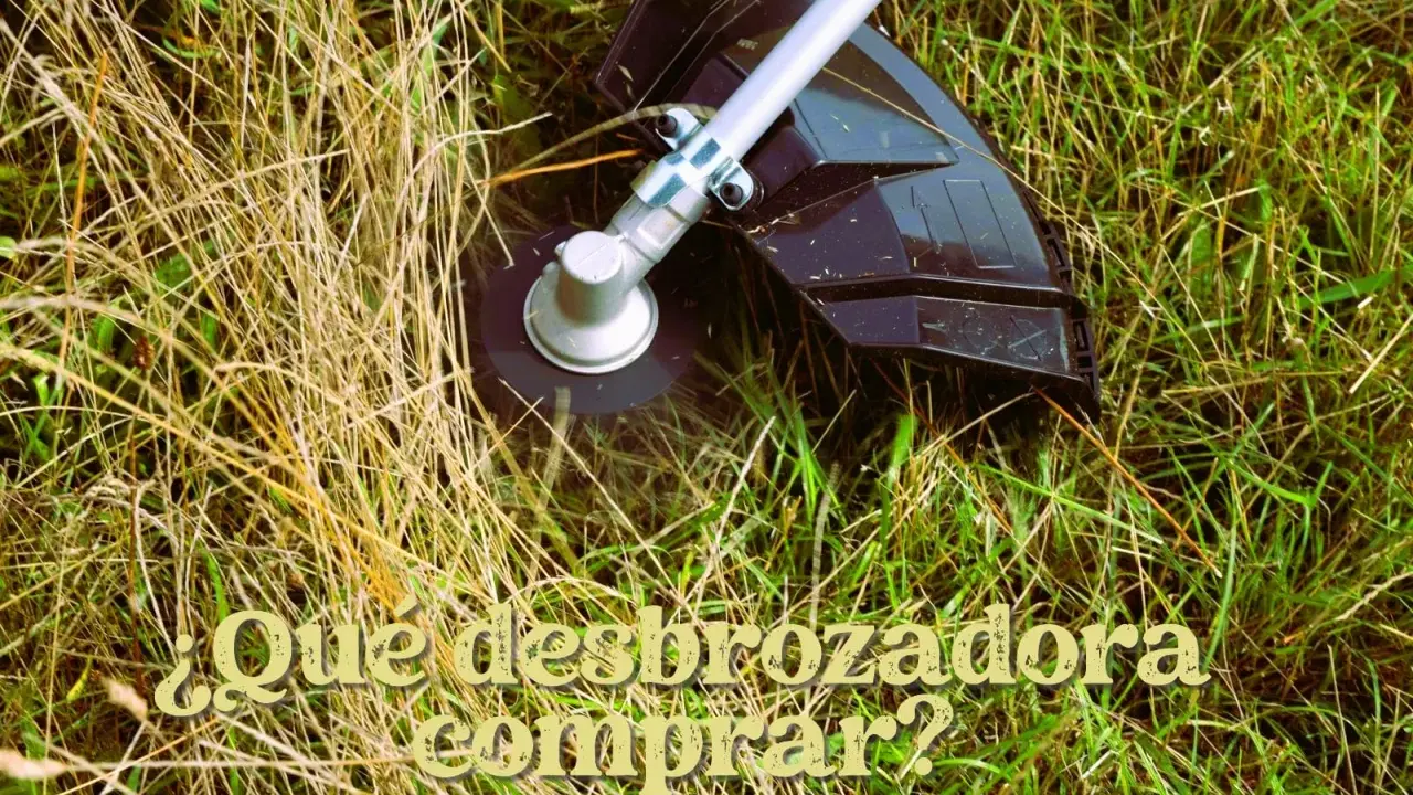 Cabezal de desbrozadora cortando hierba seca y verde. ¿Qué desbrozadora comprar?