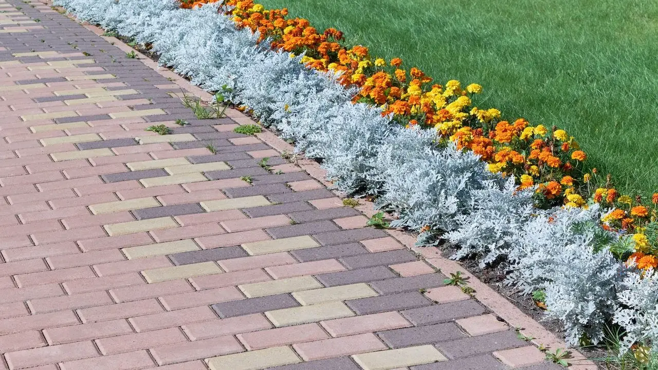 Un camino de adoquines de colores bordea unos parterres de flores anaranjadas y amarillas, con plantas plateadas y césped verde.