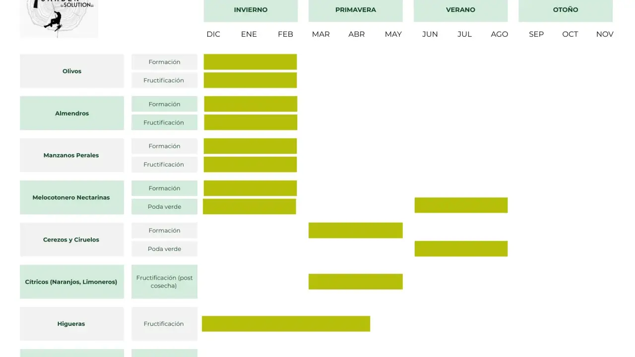 Calendario de poda de árboles frutales en España: cuándo se podan olivos, almendros, manzanos, cítricos y más.