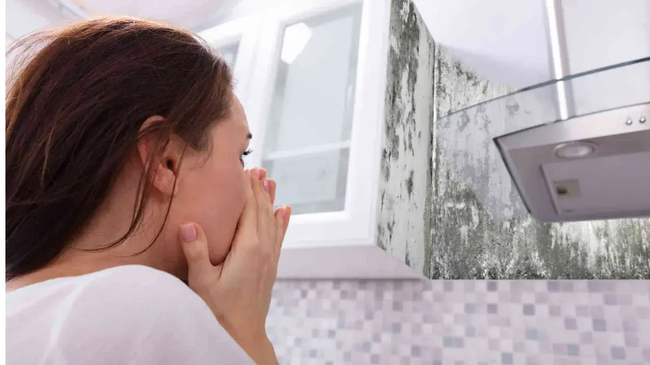 Mujer con las manos en la cara, asqueada por el moho en la pared de la cocina.