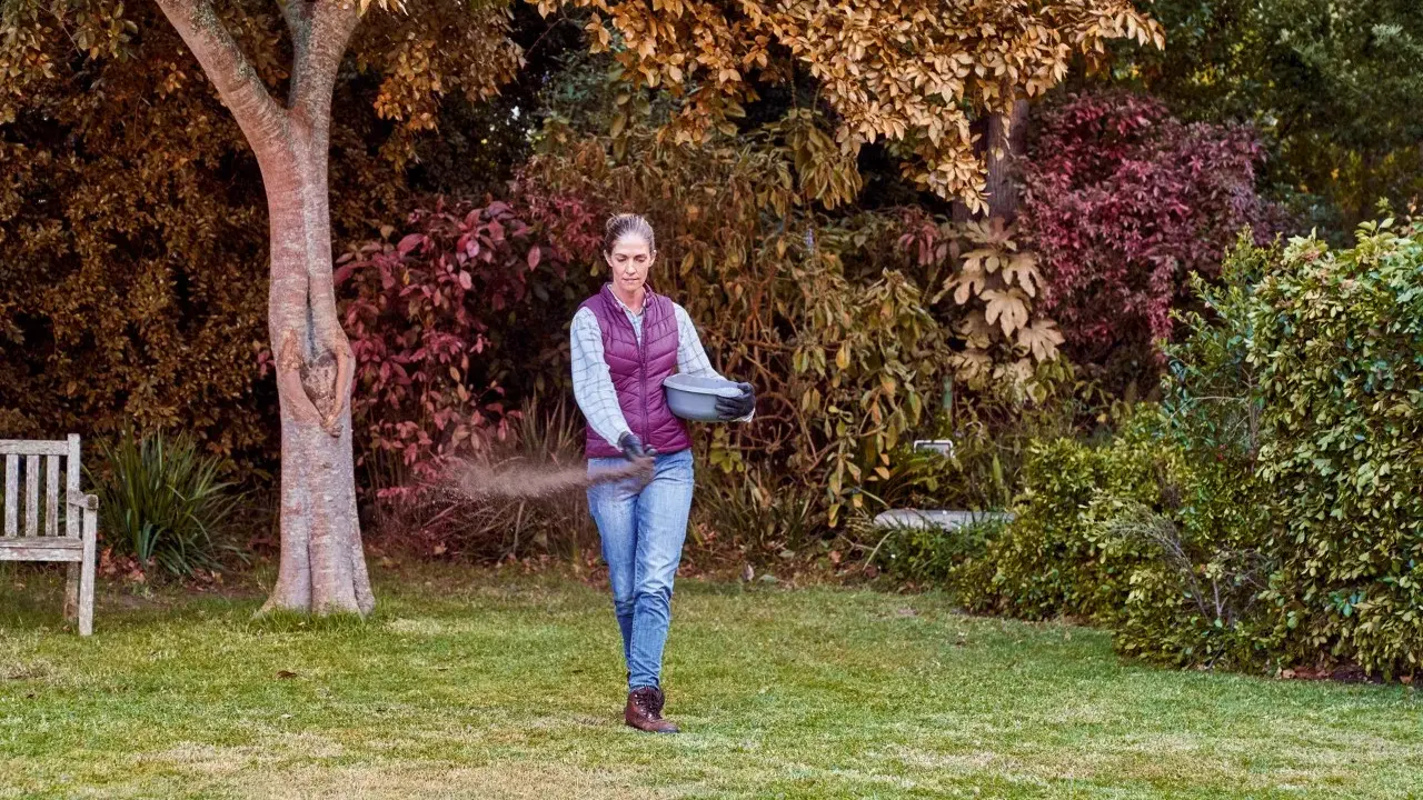 Mujer esparciendo abono en el césped, cuidando su jardín. Es el momento ideal para saber cuándo abonar el césped y asegurar su salud.
