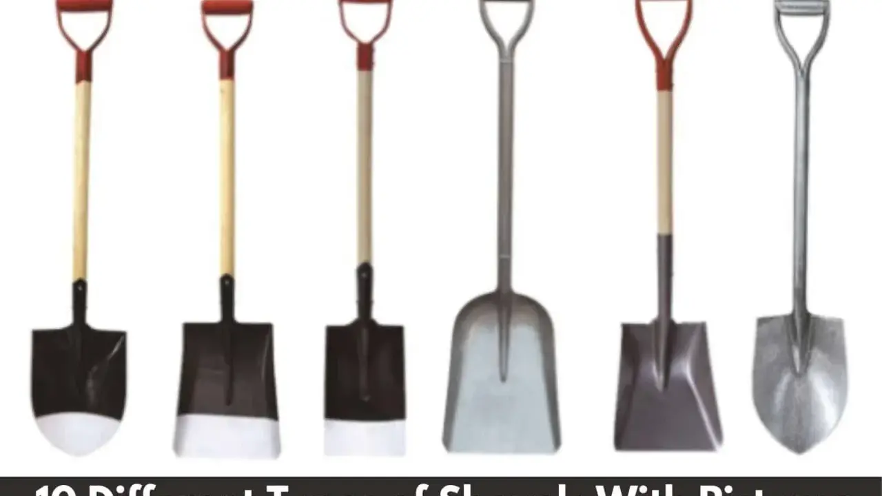 Seis tipos de palas diferentes, con mangos de madera y metal, y hojas de metal y plástico, listas para cualquier trabajo de jardinería.
