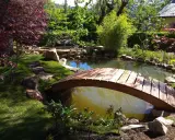 Un puente de madera cruza un estanque, parte de un jardín japonés. Pasos de piedra invitan a explorar.