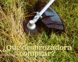Cabezal de desbrozadora cortando hierba seca y verde. ¿Qué desbrozadora comprar?