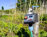 Un temporizador para sistemas de riego automático controla el agua en un huerto con plantas verdes y un cielo azul.