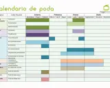 Calendario de poda: guía visual para saber cuándo podar árboles ornamentales, frutales, arbustos, setos, topiaria, trepadoras, palmeras y gramíneas.