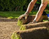 Hombre con guantes coloca rollos de césped en tierra preparada. Es el momento ideal para saber cuándo plantar césped y tener un jardín verde.