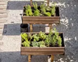 Dos jardineras elevadas con hierbas aromáticas, ideales para saber qué plantar en un huerto. Un camino de madera y grava acompaña.