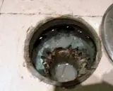 Interior de un bote sifónico con agua estancada y residuos.