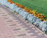 Un camino de adoquines de colores bordea unos parterres de flores anaranjadas y amarillas, con plantas plateadas y césped verde.
