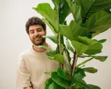Hombre sonriente junto a un ficus lyrata. Los cuidados de esta planta son clave para su exuberante follaje.