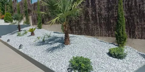Jardines con piedras blancas, palmeras y cipreses, creando un oasis moderno y de bajo mantenimiento.