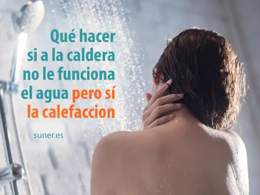 Persona en la ducha. La caldera no funciona el agua pero sí la calefacción. Soluciones.