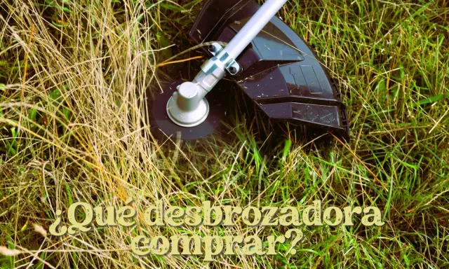 Cabezal de desbrozadora cortando hierba seca y verde. ¿Qué desbrozadora comprar?