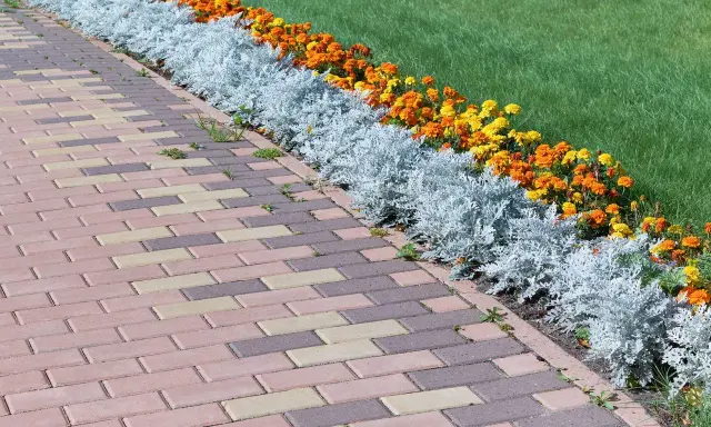 Un camino de adoquines de colores bordea unos parterres de flores anaranjadas y amarillas, con plantas plateadas y césped verde.
