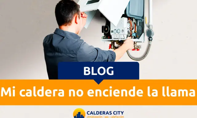 Técnico revisa caldera que no enciende la llama. Soluciones para tu hogar.