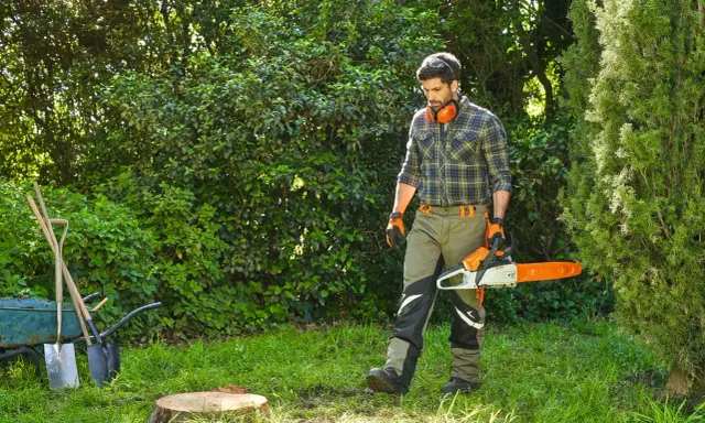 Hombre con motosierra se acerca a un tocon de arbol en un jardín. Herramientas y carretilla a la izquierda.