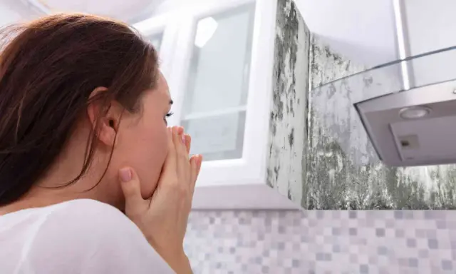 Mujer con las manos en la cara, asqueada por el moho en la pared de la cocina.