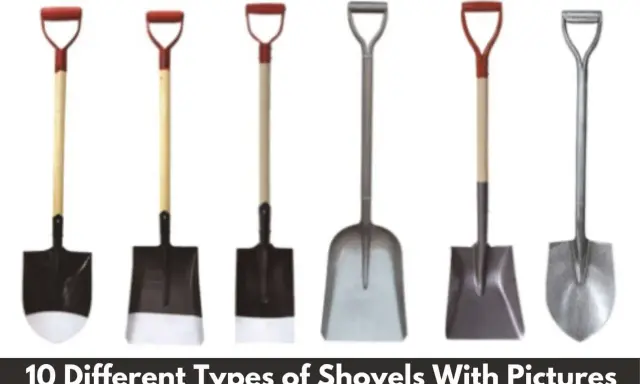 Seis tipos de palas diferentes, con mangos de madera y metal, y hojas de metal y plástico, listas para cualquier trabajo de jardinería.