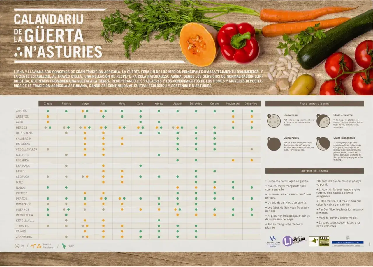 Calendario de la huerta asturiana: descubre qué plantar en un huerto cada mes, desde acelgas hasta zanahorias, y sigue las fases lunares.