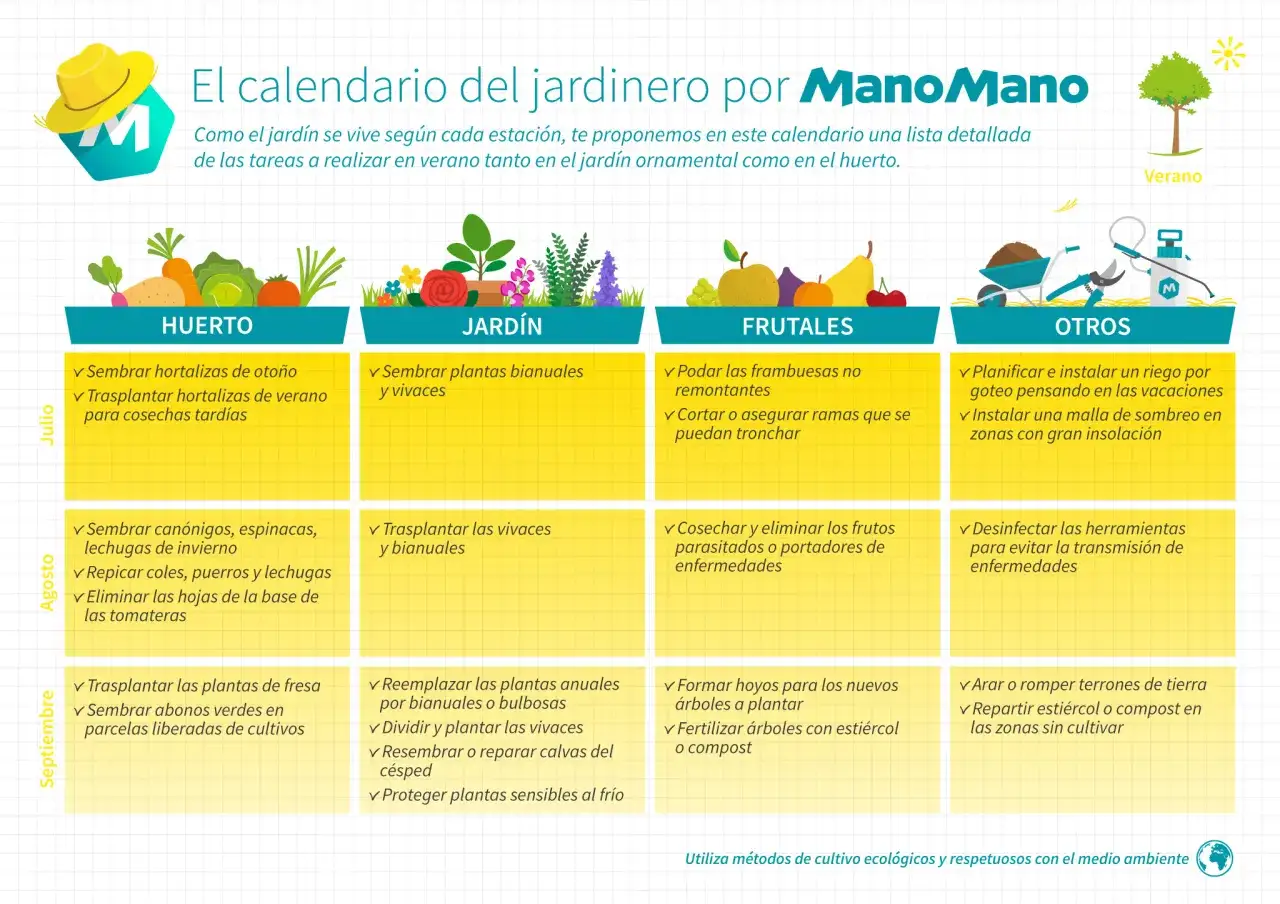 Calendario de verano: cuándo plantar árboles y otras tareas de huerto, jardín y frutales.