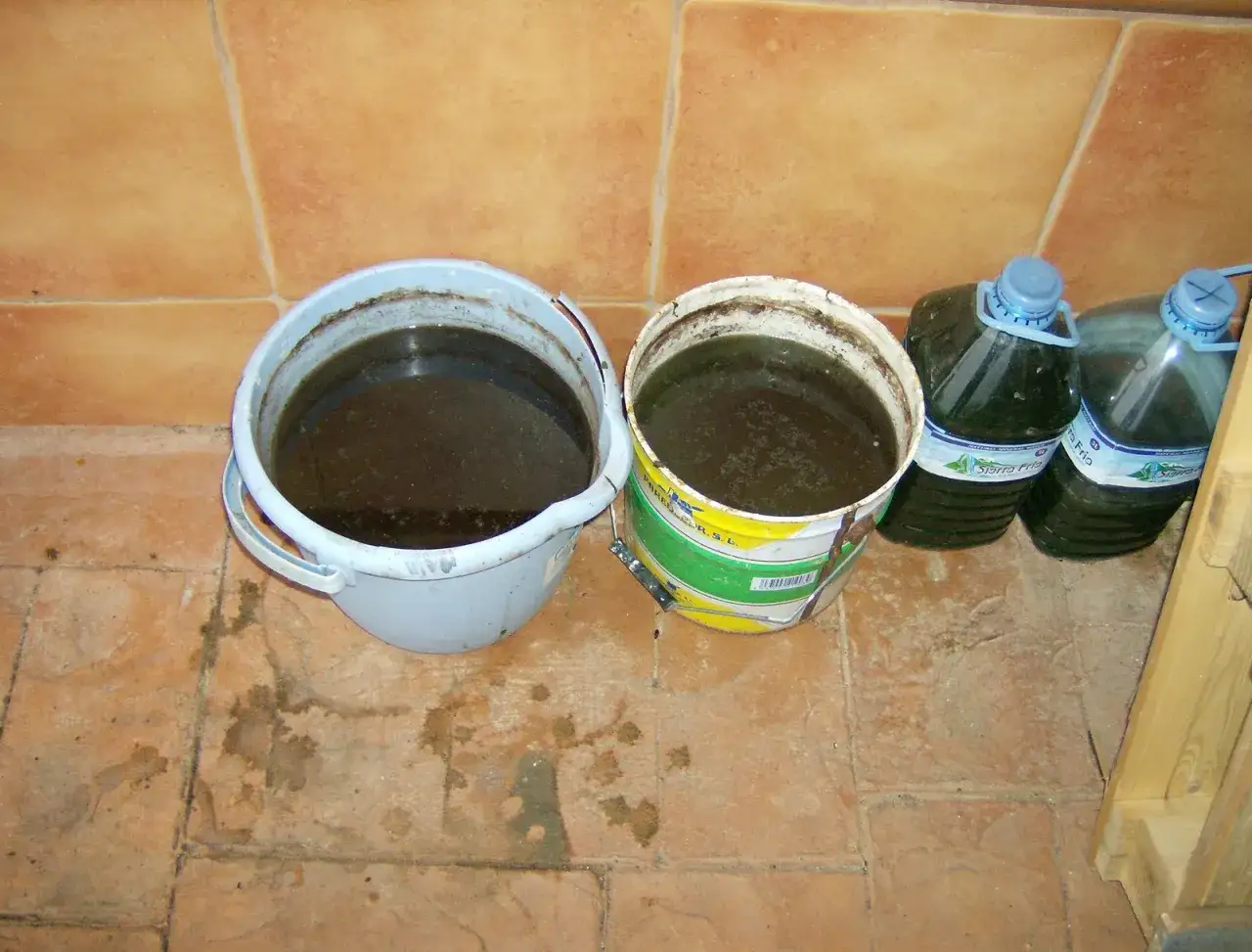 Dos cubos y dos botellas grandes contienen un líquido oscuro, posiblemente purín de ortigas, listo para fertilizar.