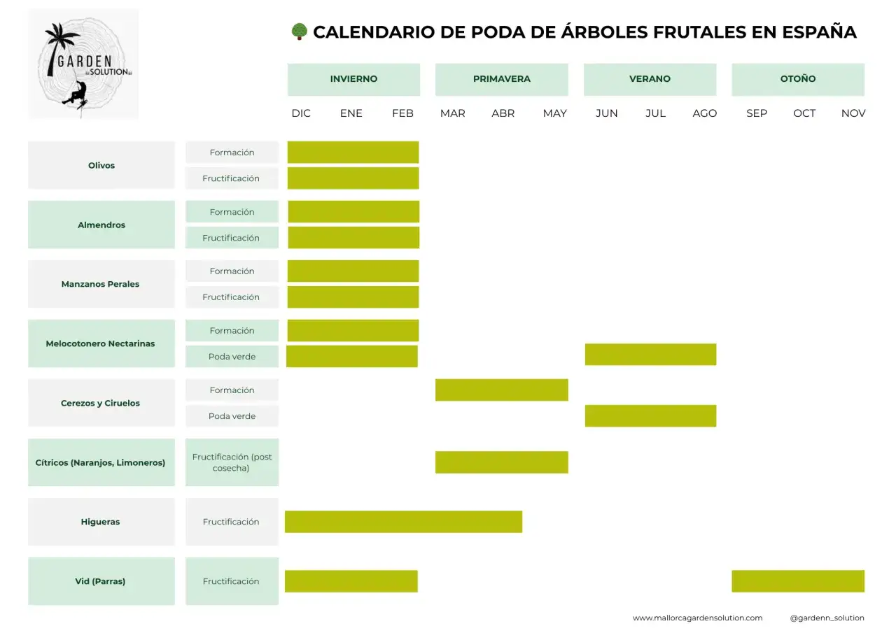 Calendario de poda de árboles frutales en España: cuándo se podan olivos, almendros, manzanos, cítricos y más.