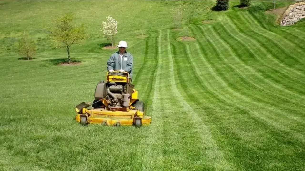 Hombre con sombrero operando un cortacésped amarillo, mostrando varios tipos de cortacésped en un césped verde con franjas.