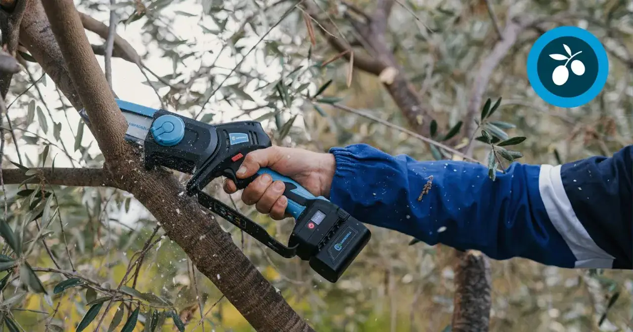 Mano podando un olivo con una motosierra eléctrica. Aprende como podar un olivo para una cosecha abundante.