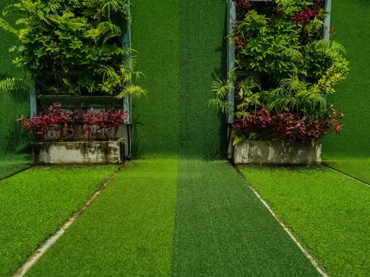 Dos jardines verticales con diferentes tipos de césped y plantas. El camino central muestra dos tonos de césped artificial.